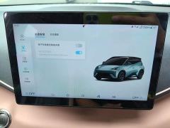 BYD Seagull 305km Freedom Edition - ფოტო 20