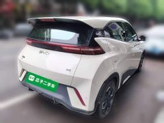 BYD Seagull 305km Freedom Edition - ფოტო 4