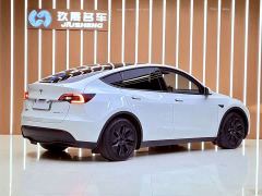 Tesla Model Y Rear-Wheel Drive - ფოტო 18