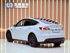 Tesla Model Y Rear-Wheel Drive - ფოტო 19