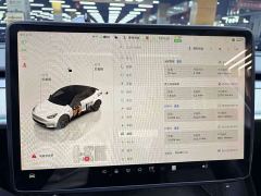 Tesla Model Y Rear-Wheel Drive - ფოტო 4