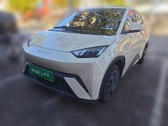 BYD Seagull Vitality Edition - photo 1