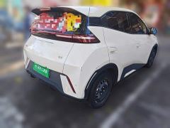 BYD Seagull Vitality Edition - photo 6