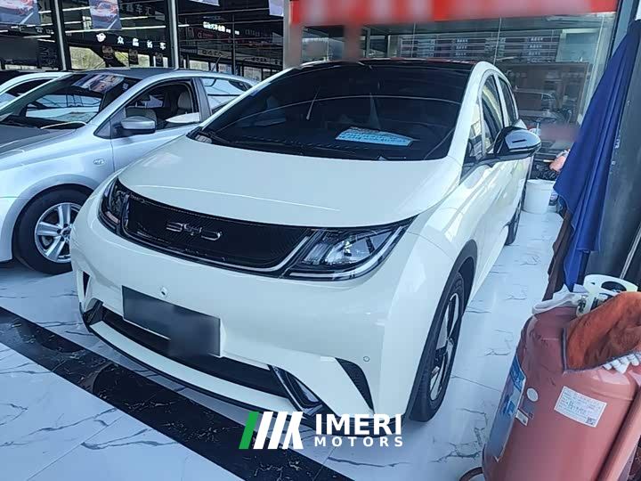 BYD Dolphin 420km Fashion Edition - ავტომობილი ჩინეთიდან