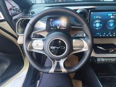 BYD Dolphin 420km Fashion Edition - ფოტო 10
