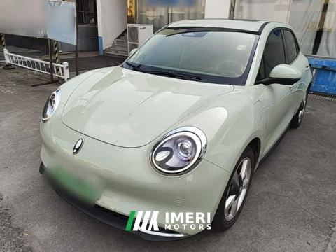 2023 ORA Good Cat 401km Standard Range Deluxe LFP - ავტომობილი ჩინეთიდან
