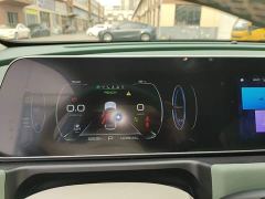 ORA Good Cat 401km Standard Range Deluxe LFP - ფოტო 11