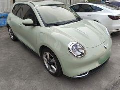 ORA Good Cat 401km Standard Range Deluxe LFP - ფოტო 3