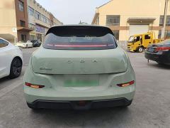 ORA Good Cat 401km Standard Range Deluxe LFP - ფოტო 5