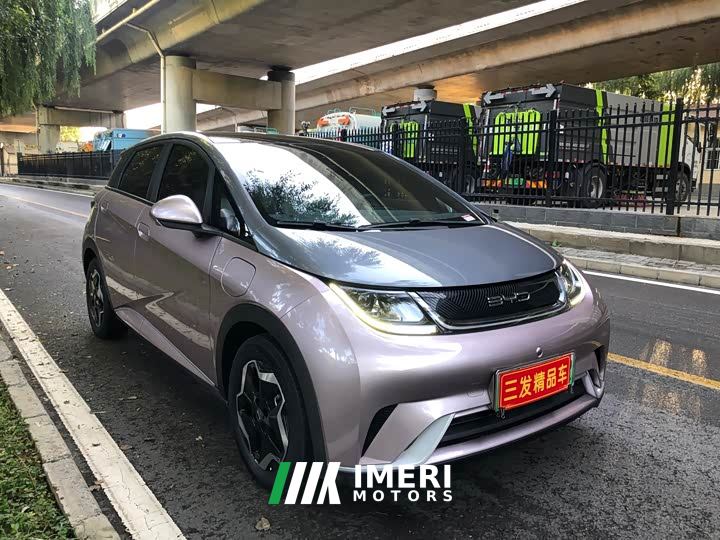 BYD Dolphin 405km Fashion Edition - ავტომობილი ჩინეთიდან