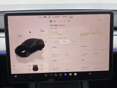 Tesla Model Y Rear-Wheel Drive - ფოტო 15