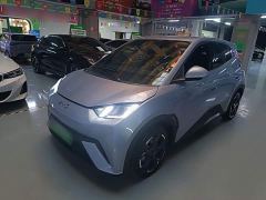 BYD Seagull Glory Edition 305km Vitality Version - ფოტო 1