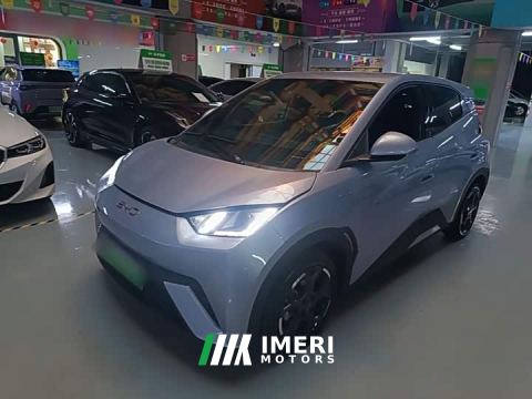 2024 BYD Seagull Glory Edition 305km Vitality Version - ავტომობილი ჩინეთიდან