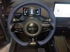 BYD Seagull Glory Edition 305km Vitality Version - ფოტო 10