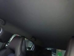 BYD Seagull Glory Edition 305km Vitality Version - ფოტო 17