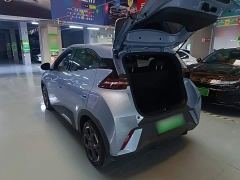 BYD Seagull Glory Edition 305km Vitality Version - ფოტო 4