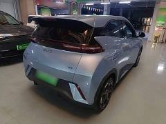 BYD Seagull Glory Edition 305km Vitality Version - ფოტო 6
