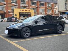 Tesla Model 3 Rear-Wheel Drive - ფოტო 1