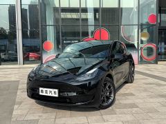 Tesla Model Y Rear-Wheel Drive - ფოტო 1