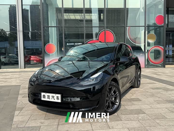Tesla Model Y Rear-Wheel Drive