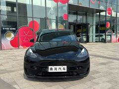 Tesla Model Y Rear-Wheel Drive - ფოტო 2