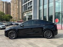 Tesla Model Y Rear-Wheel Drive - ფოტო 3