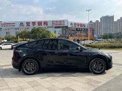 Tesla Model Y Rear-Wheel Drive - ფოტო 5