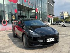 Tesla Model Y Rear-Wheel Drive - ფოტო 6