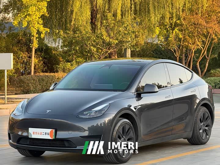 Tesla Model Y Rear-Wheel Drive - car from China