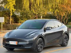 Tesla Model Y Rear-Wheel Drive - photo 1