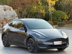 Tesla Model Y Rear-Wheel Drive - photo 2