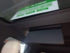 Li Auto L7 Max - ფოტო 17