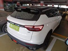 Geely Bingyue 1.4T DCT Diamond Edition - ფოტო 6