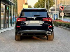 BMW X5 xDrive 30Li M Sport Premium Package - фото 5