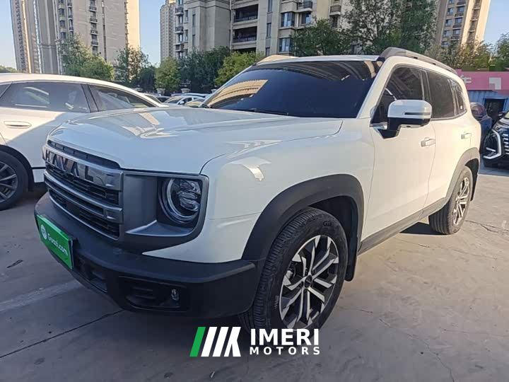 Great Wall Dachshund 1.5T DCT Border Collie Edition - car from China