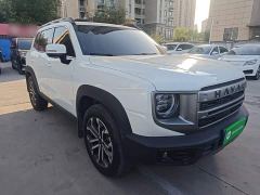 Great Wall Dachshund 1.5T DCT Border Collie Edition - photo 3