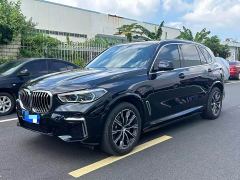 BMW X5 xDrive 30Li Luxury M Sport Package - фото 3