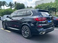 BMW X5 xDrive 30Li Luxury M Sport Package - фото 7