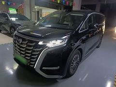 Denza D9 DM-i Smart Drive 1020 AWD Luxury - photo 1