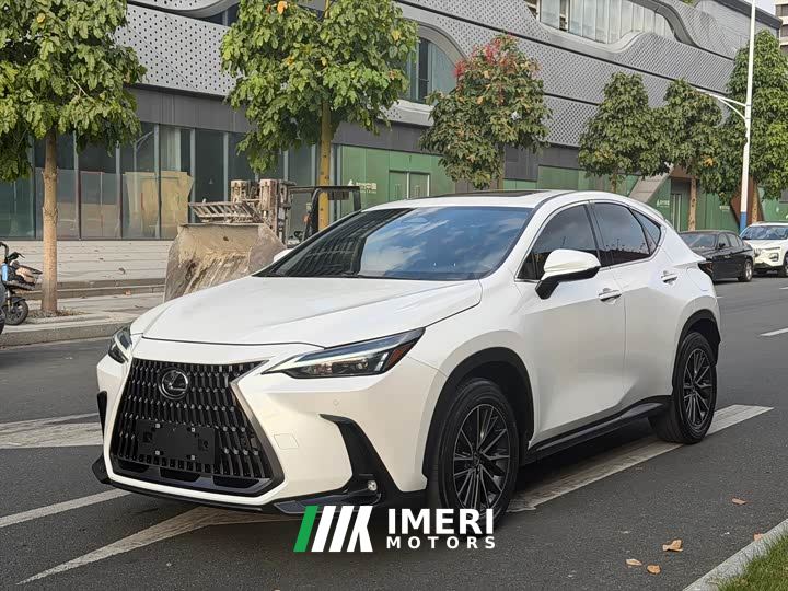 Lexus NX 260 FWD Creative Travel Special Edition - автомобиль из Китая