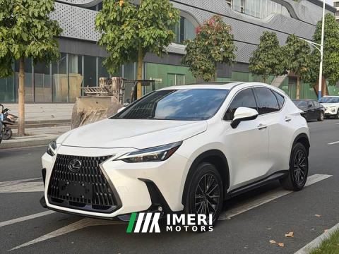 2023 Lexus NX 260 FWD Creative Travel Special Edition - автомобиль из Китая