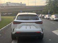 Lexus NX 260 FWD Creative Travel Special Edition - фото 15