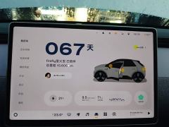 Nio Firefly Carefree Edition - ფოტო 11