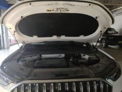 Chery Tiggo 9 2.0T Automatic Two-Wheel Drive Luxury 5-Seater - фото 19