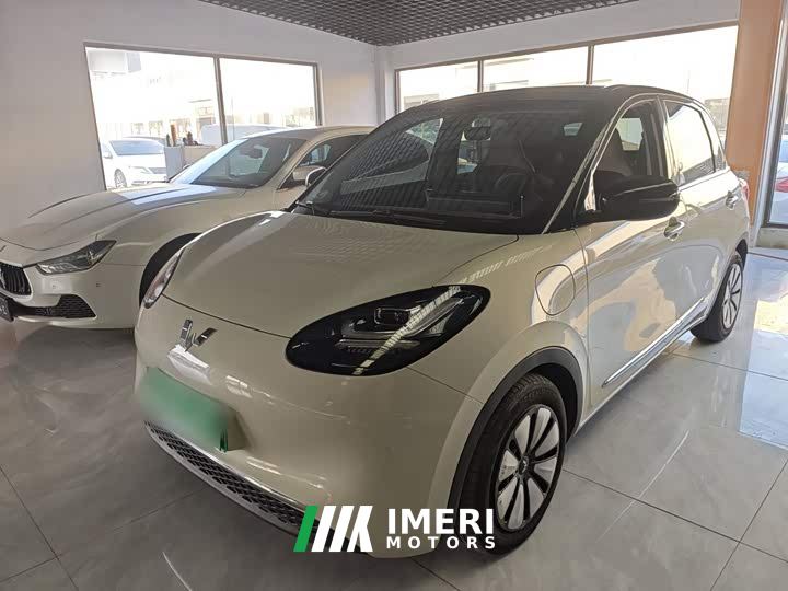 Wuling Binguo 333km Joy Edition - car from China