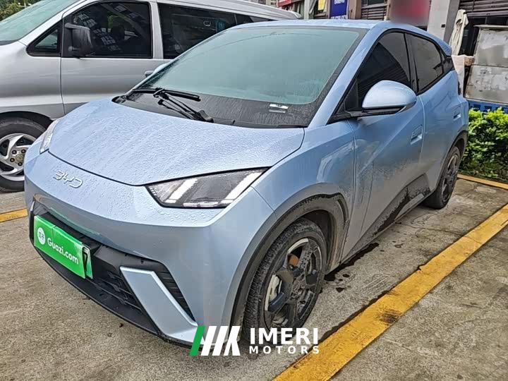 BYD Seagull Glory Edition 305km Freedom Version - car from China