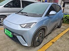 BYD Seagull Glory Edition 305km Freedom Version - photo 1