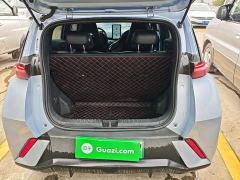 BYD Seagull Glory Edition 305km Freedom Version - photo 18