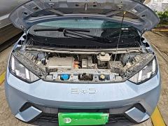 BYD Seagull Glory Edition 305km Freedom Version - photo 19