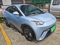 BYD Seagull Glory Edition 305km Freedom Version - photo 3
